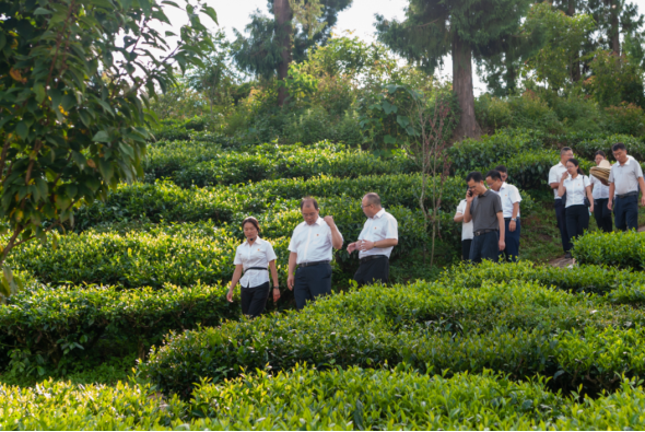 �ƽ�Ǽ��Ź���|��ҳ