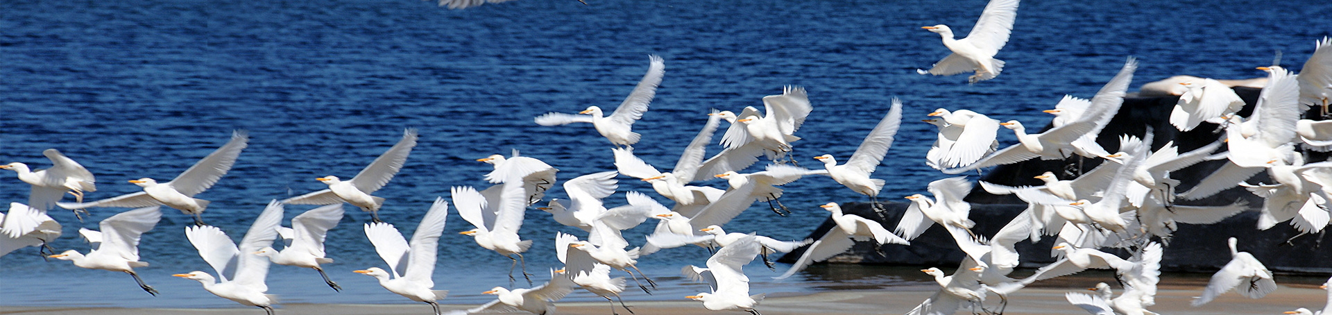 �ƽ�Ǽ��Ź���|��ҳ