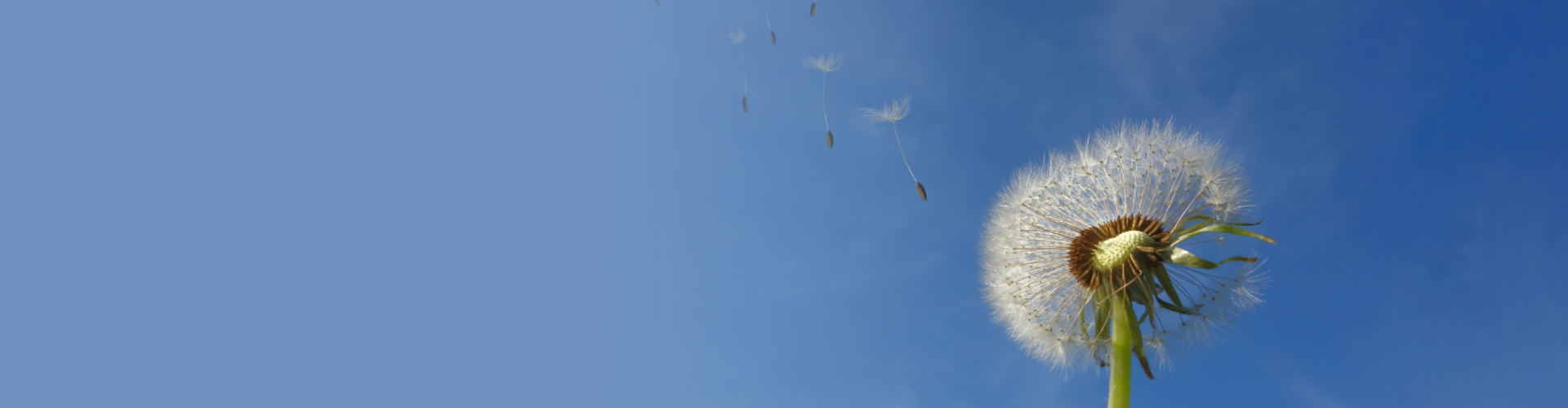 �ƽ�Ǽ��Ź���|��ҳ