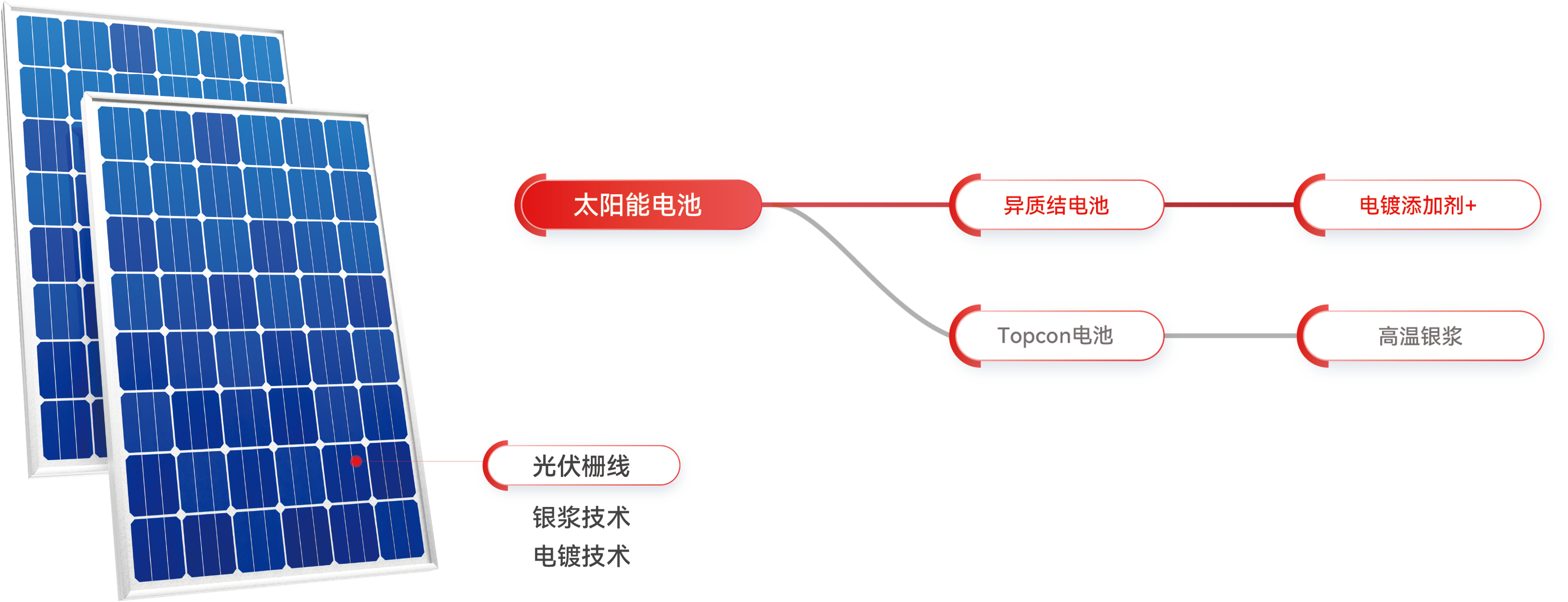 �齫����2(�й���)�ٷ���վ - IOS/��׿ͨ�ð�/�ֻ�APP����